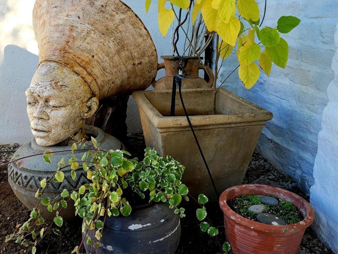 Acacia Home Graaff-Reinet المظهر الخارجي الصورة